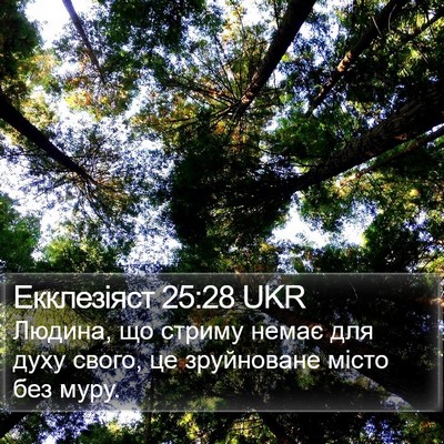 Екклезіяст 25:28 UKR Bible Verse Image