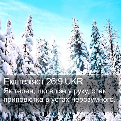 Екклезіяст 26:9 UKR Bible Verse Image