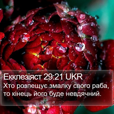 Екклезіяст 29:21 UKR Bible Verse Image