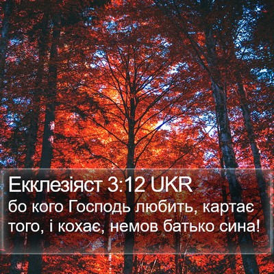 Екклезіяст 3:12 UKR Bible Verse Image