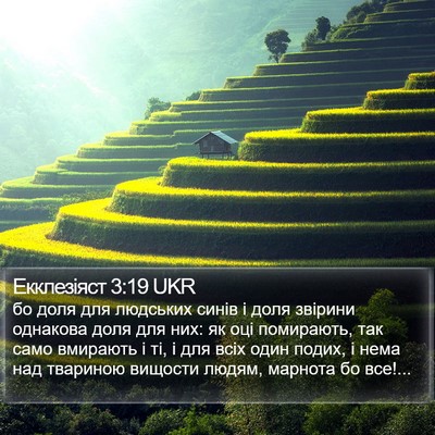Екклезіяст 3:19 UKR Bible Verse Image