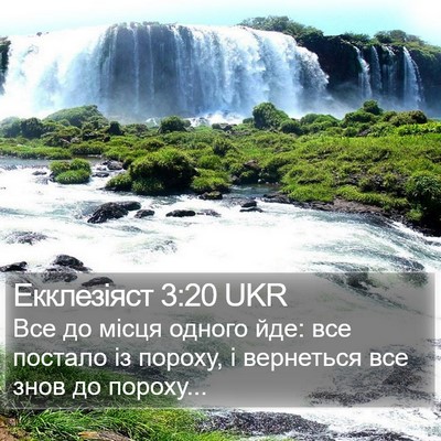 Екклезіяст 3:20 UKR Bible Verse Image