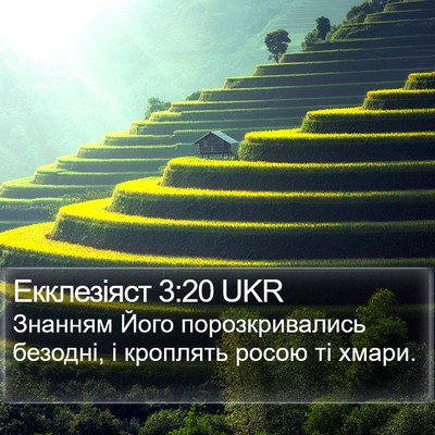 Екклезіяст 3:20 UKR Bible Verse Image