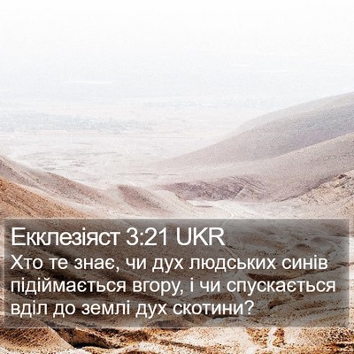 Екклезіяст 3:21 UKR Bible Verse Image