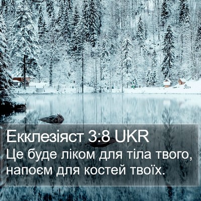 Екклезіяст 3:8 UKR Bible Verse Image