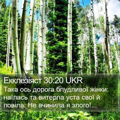 Екклезіяст 30:20 UKR Bible Verse Image