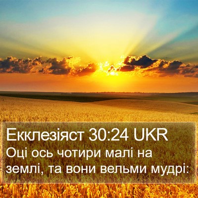Екклезіяст 30:24 UKR Bible Verse Image