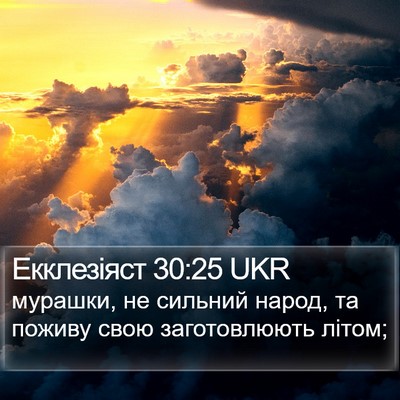 Екклезіяст 30:25 UKR Bible Verse Image