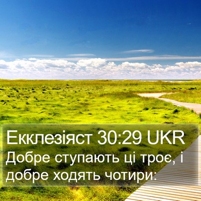 Екклезіяст 30:29 UKR Bible Verse Image