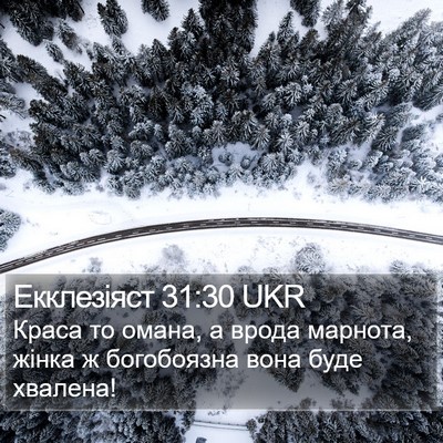 Екклезіяст 31:30 UKR Bible Verse Image