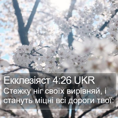 Екклезіяст 4:26 UKR Bible Verse Image