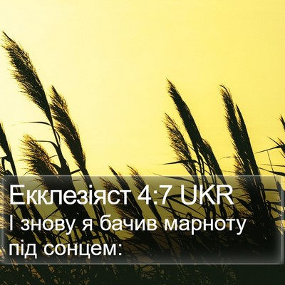 Екклезіяст 4:7 UKR Bible Verse Image