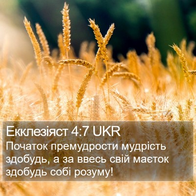 Екклезіяст 4:7 UKR Bible Verse Image