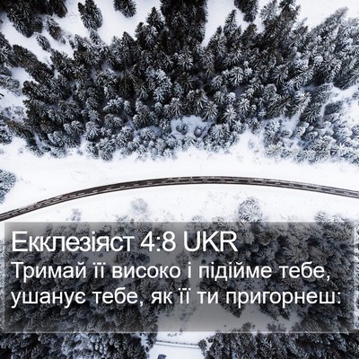 Екклезіяст 4:8 UKR Bible Verse Image
