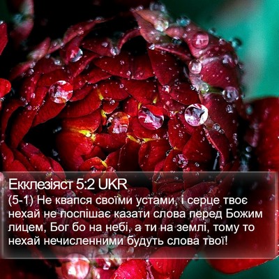 Екклезіяст 5:2 UKR Bible Verse Image