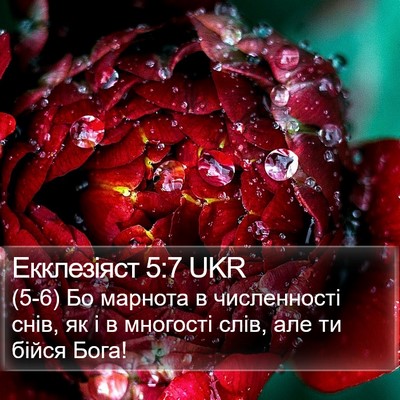 Екклезіяст 5:7 UKR Bible Verse Image