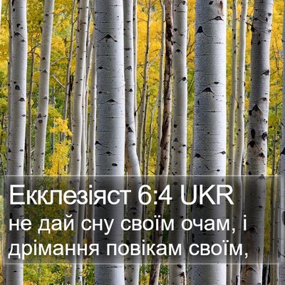 Екклезіяст 6:4 UKR Bible Verse Image