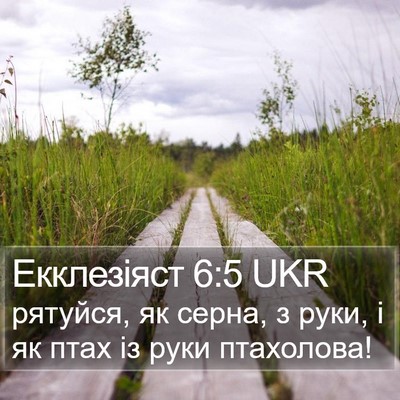 Екклезіяст 6:5 UKR Bible Verse Image