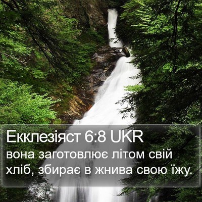 Екклезіяст 6:8 UKR Bible Verse Image