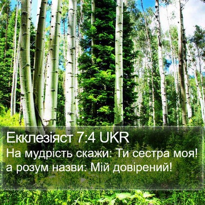 Екклезіяст 7:4 UKR Bible Verse Image
