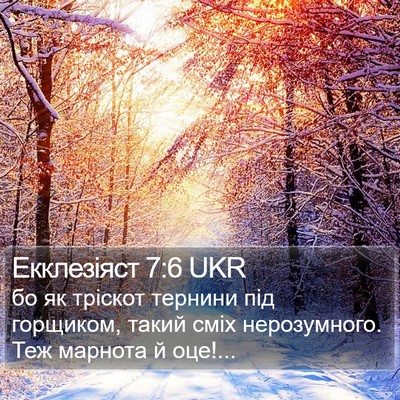 Екклезіяст 7:6 UKR Bible Verse Image