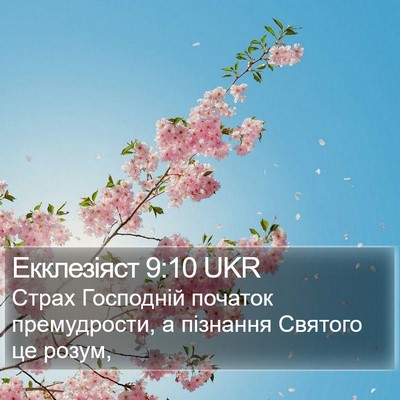 Екклезіяст 9:10 UKR Bible Verse Image