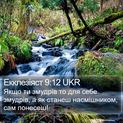 Екклезіяст 9:12 UKR Bible Verse Image