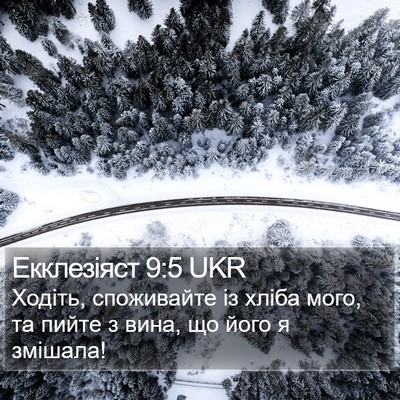 Екклезіяст 9:5 UKR Bible Verse Image