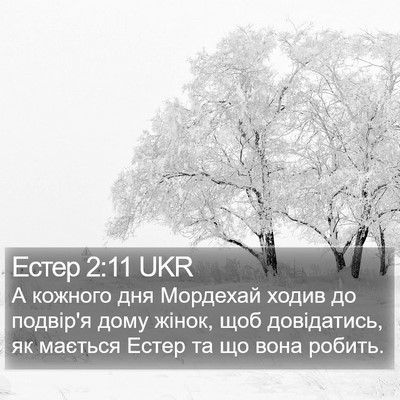 Естер 2:11 UKR Bible Verse Image