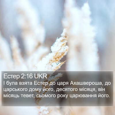 Естер 2:16 UKR Bible Verse Image