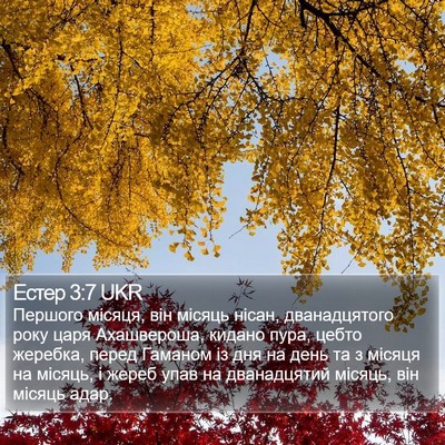 Естер 3:7 UKR Bible Verse Image