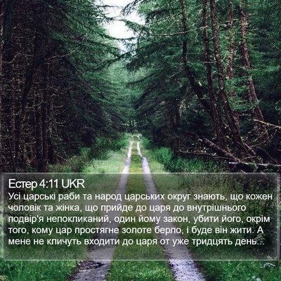 Естер 4:11 UKR Bible Verse Image