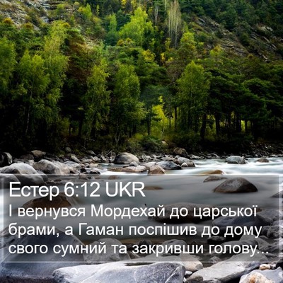 Естер 6:12 UKR Bible Verse Image