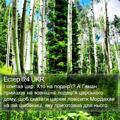 Естер 6:4 UKR Bible Verse Image