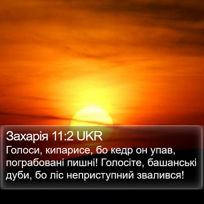Захарія 11:2 UKR Bible Verse Image