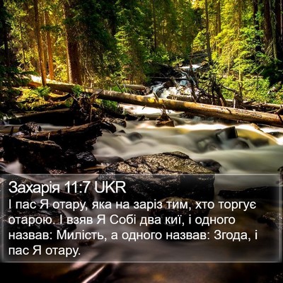 Захарія 11:7 UKR Bible Verse Image