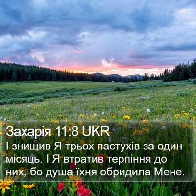 Захарія 11:8 UKR Bible Verse Image