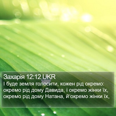 Захарія 12:12 UKR Bible Verse Image