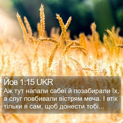 Йов 1:15 UKR Bible Verse Image