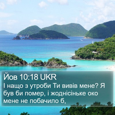 Йов 10:18 UKR Bible Verse Image