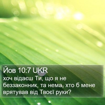 Йов 10:7 UKR Bible Verse Image