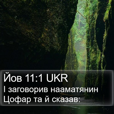 Йов 11:1 UKR Bible Verse Image