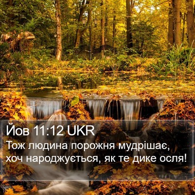 Йов 11:12 UKR Bible Verse Image