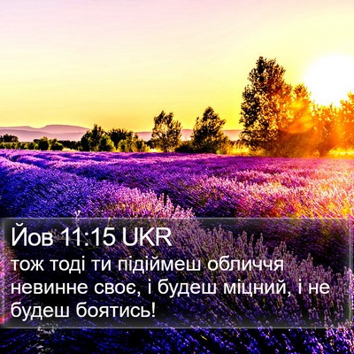 Йов 11:15 UKR Bible Verse Image