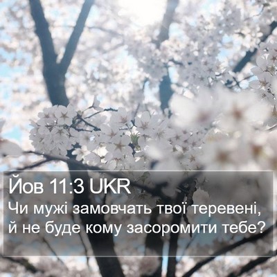 Йов 11:3 UKR Bible Verse Image