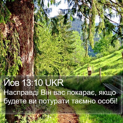 Йов 13:10 UKR Bible Verse Image