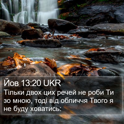 Йов 13:20 UKR Bible Verse Image
