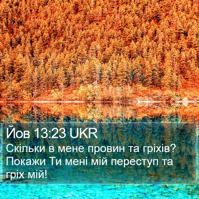Йов 13:23 UKR Bible Verse Image