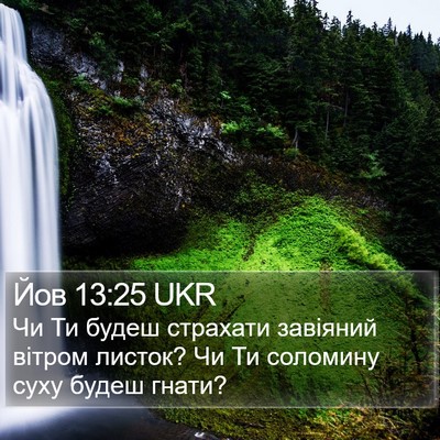 Йов 13:25 UKR Bible Verse Image