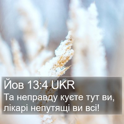 Йов 13:4 UKR Bible Verse Image